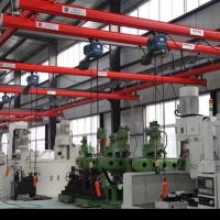 天津起重機(jī)-新型歐式起重機(jī)