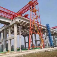 太倉花架門式起重機升降5米，
